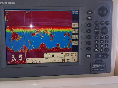 VX2 image 2.jpg