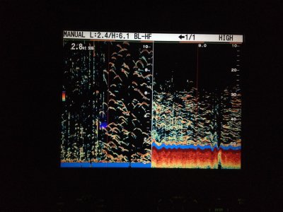 image 9.jpeg