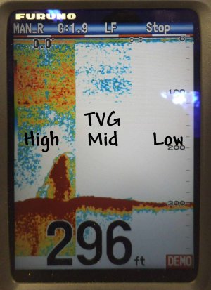 TVG.jpg