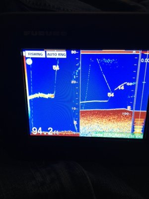 thermo 1.jpg