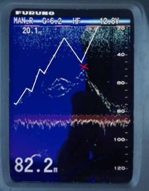 Fish 3.JPG