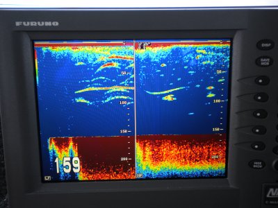 Turbulence and Fish Targets.JPG