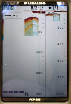DSCN9302.JPG