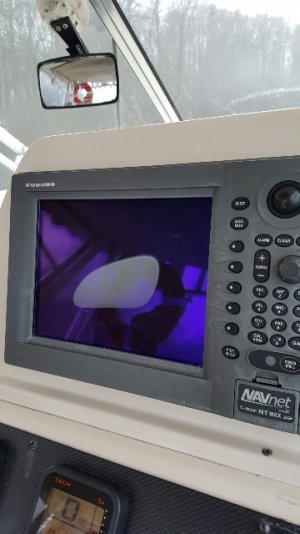 tmp_24126-20170313_112314-955175484.jpg