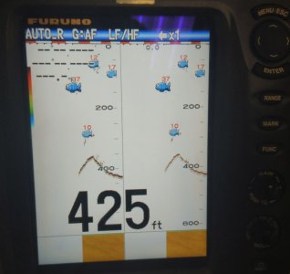 Capture1.JPG