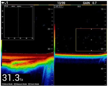 Low vs High Frequency B265.JPG