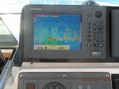 NN1 Dual freq 2 (800x600).jpg
