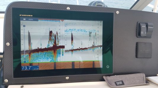 TZT2 dual freq 1 (800x450) (2).jpg