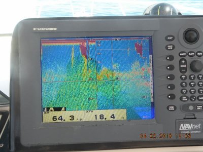 NN1 Dual Freq 1 (2) (1024x768) (800x600).jpg