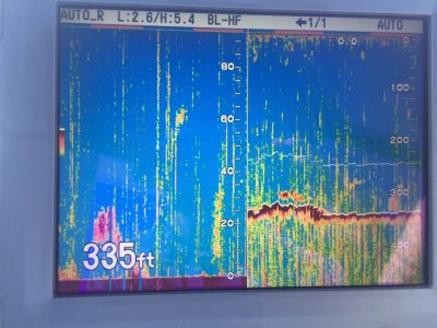thumbnail_IMG_0893.jpg