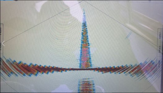 Noise #1.jpg