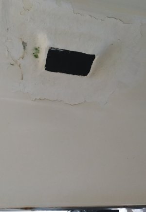 IMG_20181108_144824.jpg