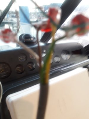 20190409_181159.jpg