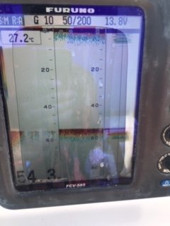 image1.jpeg