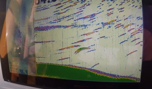 screen.jpg