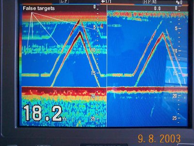 False targets #1.JPG