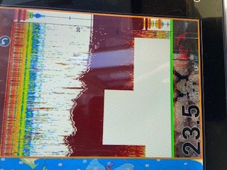 IMG_2865.jpg