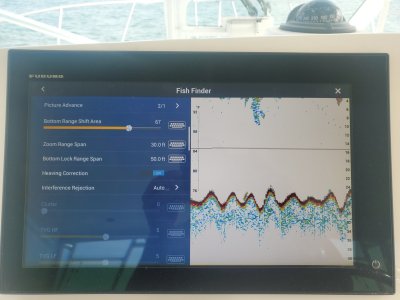 Sonar Heave off.jpg