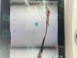 IMG_5706.jpeg