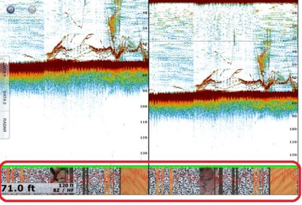 DFF1-UHD Bottom Discrimination Feature.jpg
