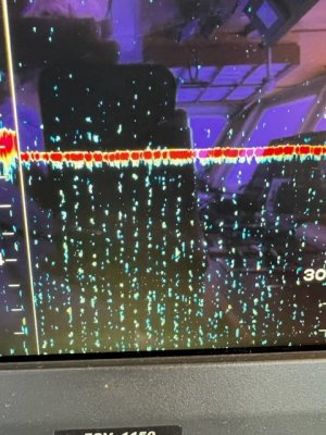 FishingMode_07.16.2023.jpg