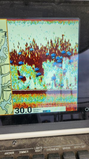 FF depth display, numbers versus picture | Furuno USA Community