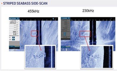 455kHz vs 230kHz.jpg