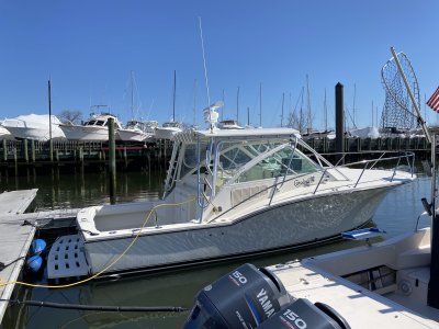 IMG_2350.jpeg