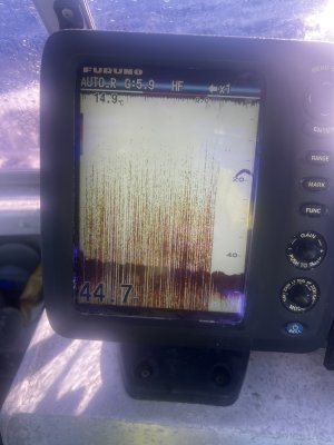 IMG_1046.jpeg IMG_1046.jpeg