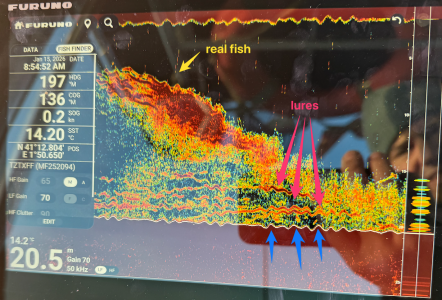 CleanShot 2026-01-20 at 22.41.57.png