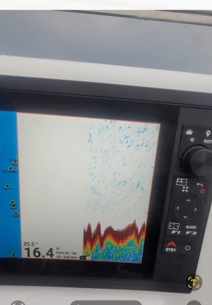 ******** Image 2026-03-02 at 07.55.52.jpeg