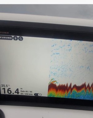 ******** Image 2026-03-02 at 07.55.33.jpeg