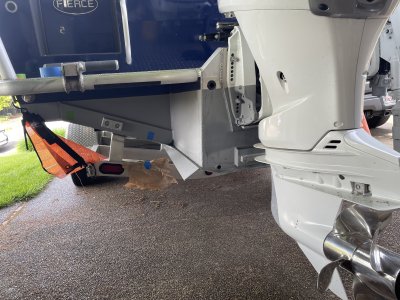 IMG_7954.jpeg